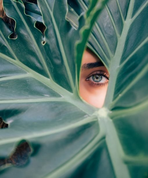 Contactar con Almudena Valcas woman peeking over green leaf plant taken at daytime